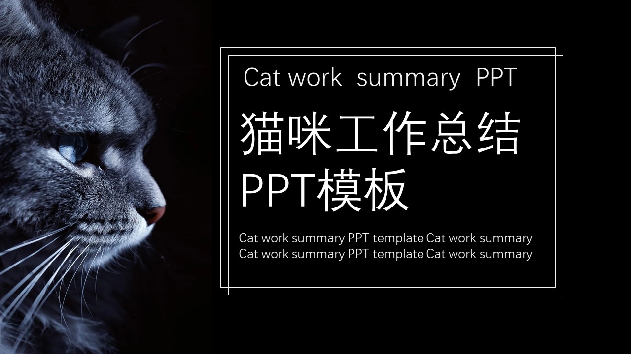 ppt模板-猫咪黑色工作总结PPT模板