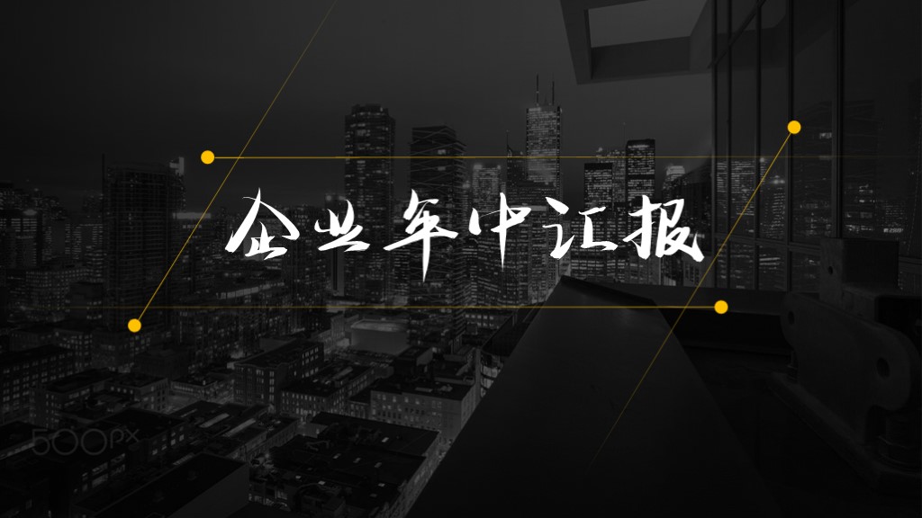 ppt模板-大气简约商务企业汇报PPT