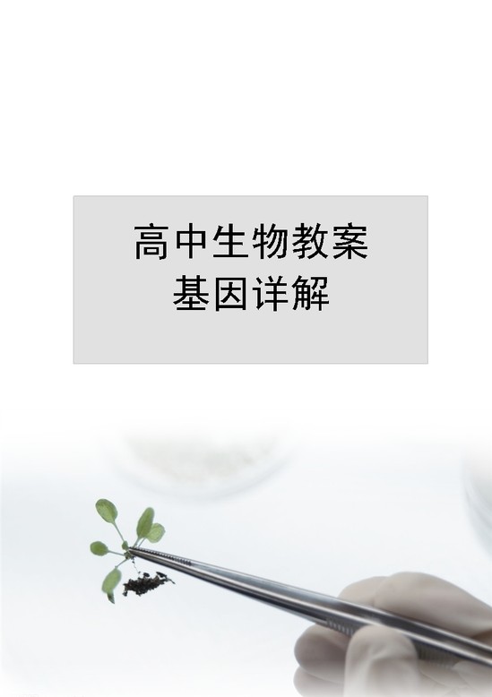 word模板-高中生物教案