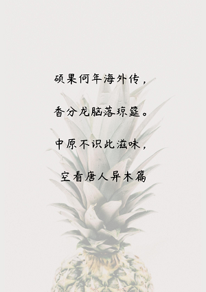 word模板-文艺风 水果信纸