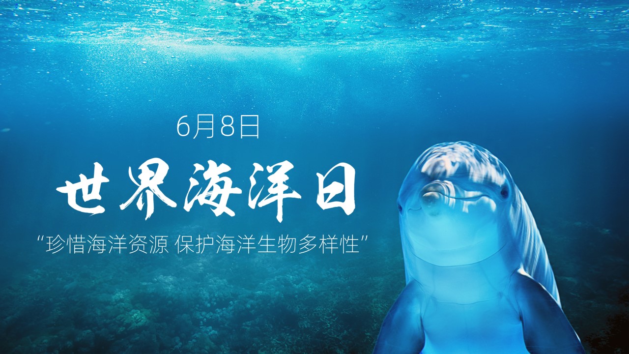 ppt模板-世界海洋日含内容免费PPT模板