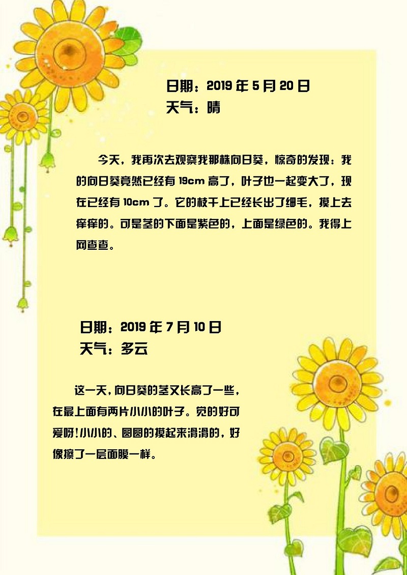 word模板-向日葵日志信纸