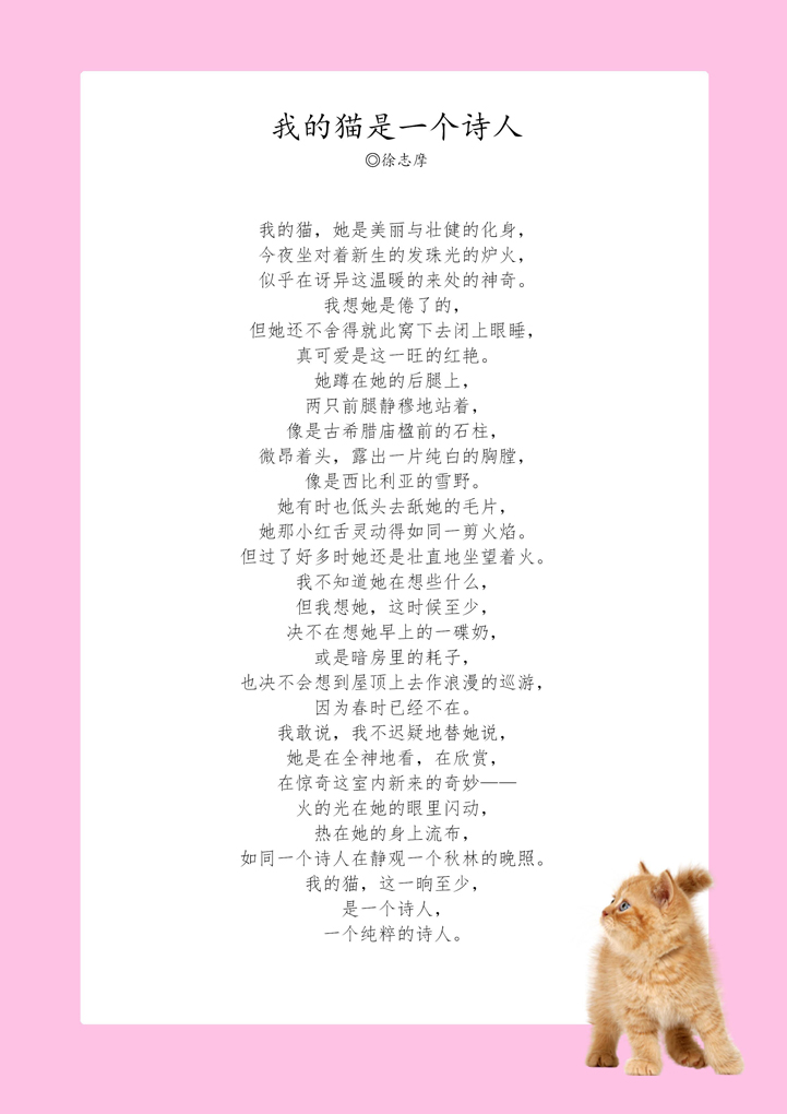 word模板-小猫粉红信纸