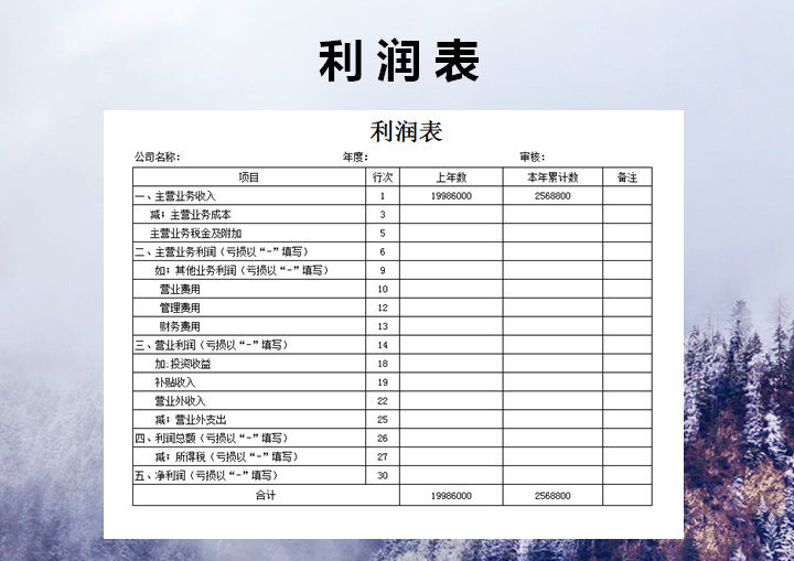excel模板-利润表模板