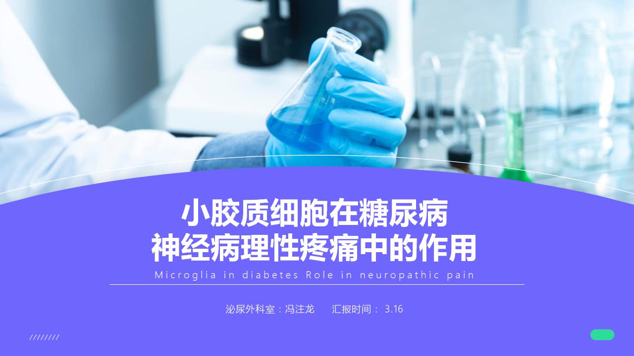 ppt模板-欧美风糖尿病研究汇报模板