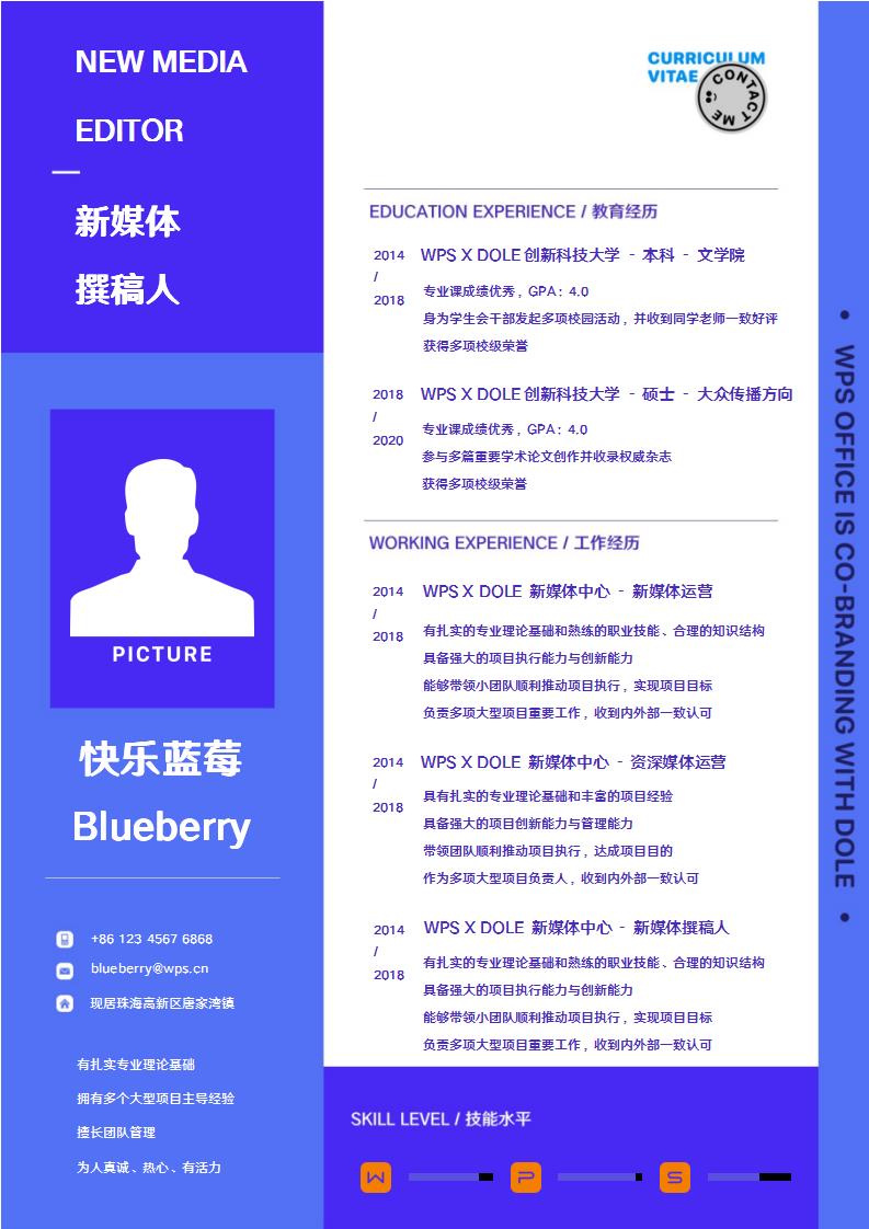 word模板-蓝莓-单页简历模板