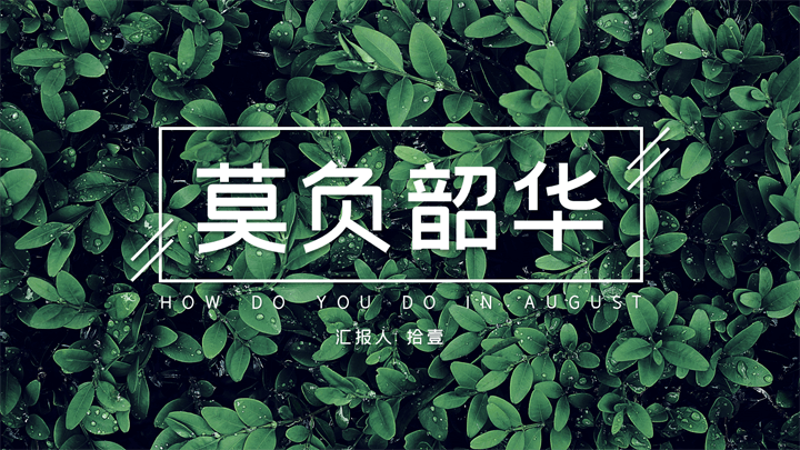 ppt模板-小清新总结报告通用模板