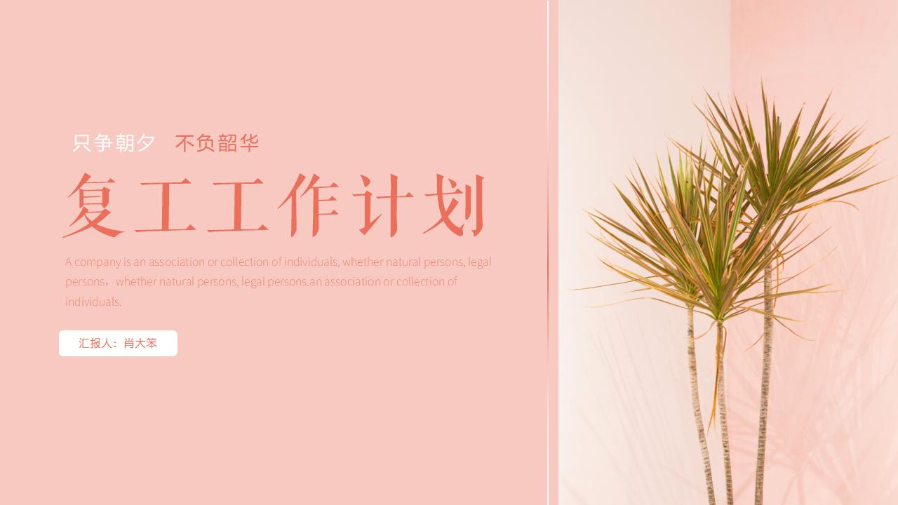 ppt模板-粉色小清新复工工作计划ppt模板