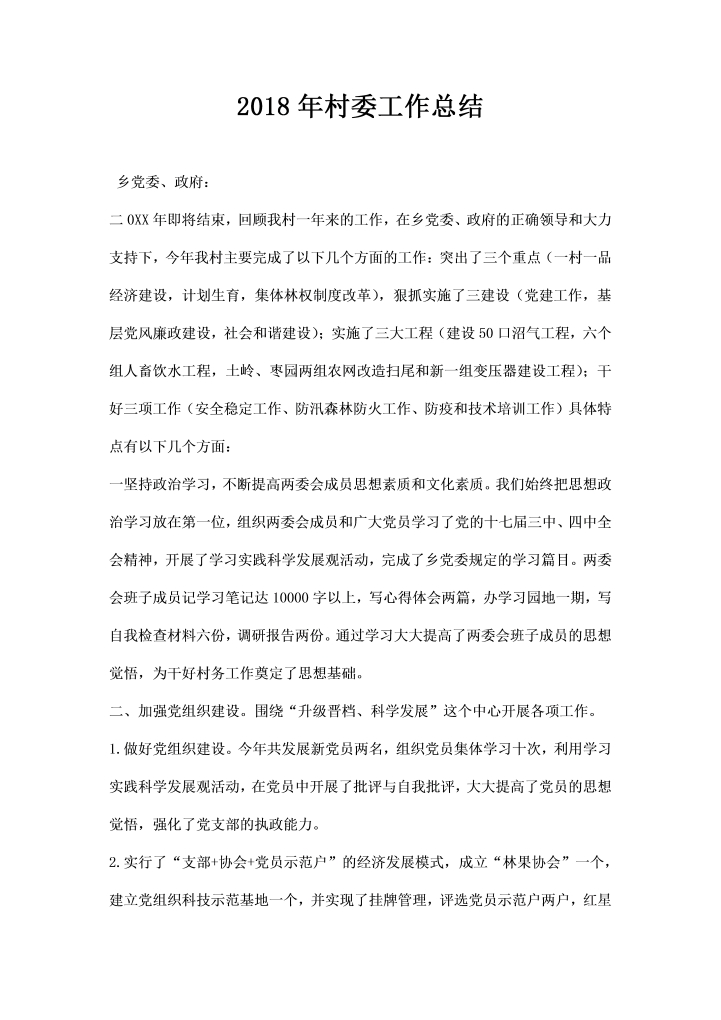 word模板-村委工作总结