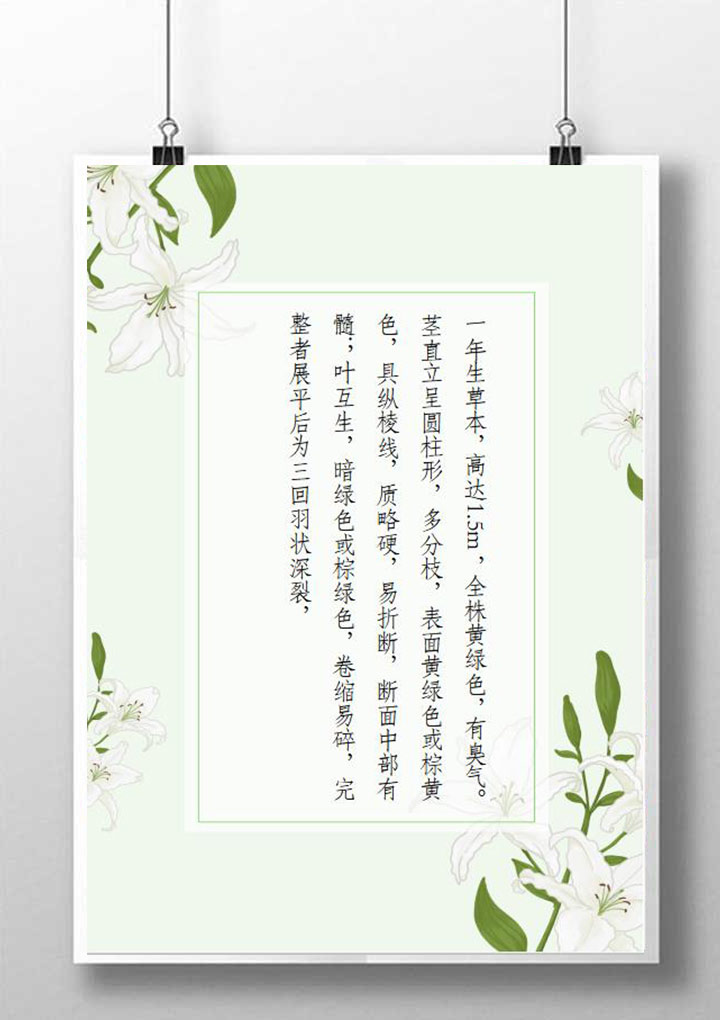 word模板-小清新白玉兰花信纸