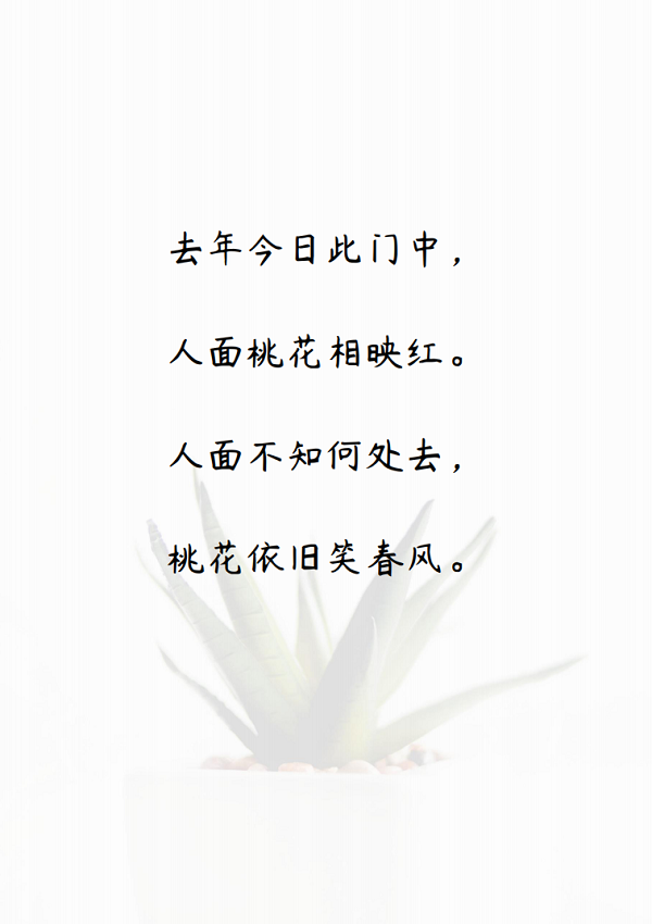 word模板-文艺风  植物多肉信纸