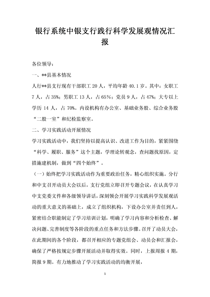 word模板-银行系统中银支行践行科学发展观情况汇报