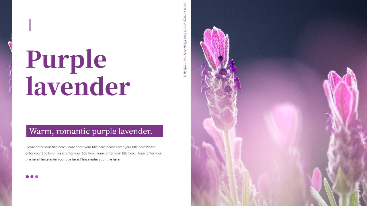 ppt模板-梦幻浪漫的紫色薰衣草
