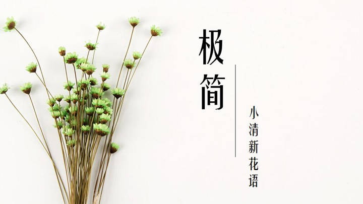 ppt模板-极简小清新工作总结PPT