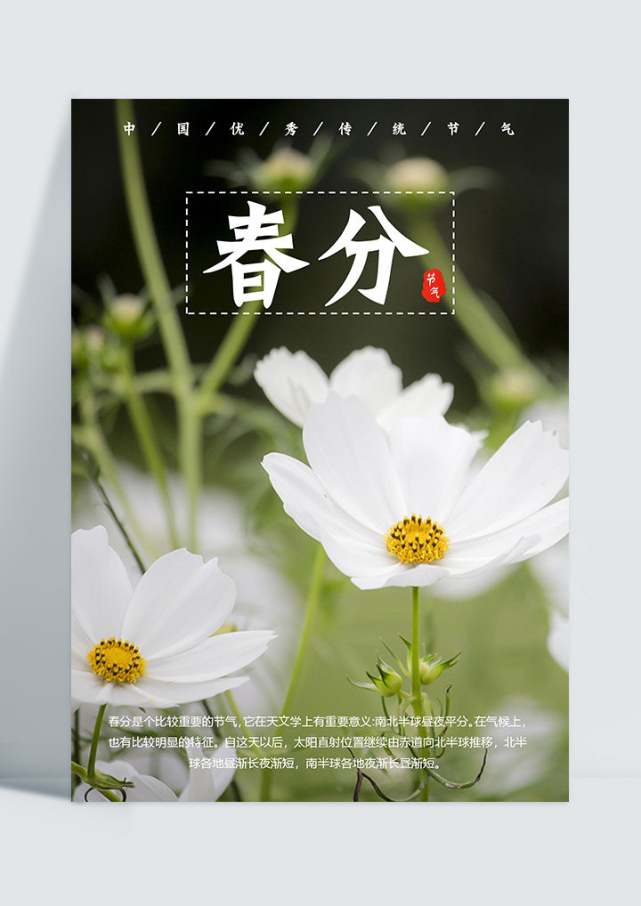 word模板-春分节气海报