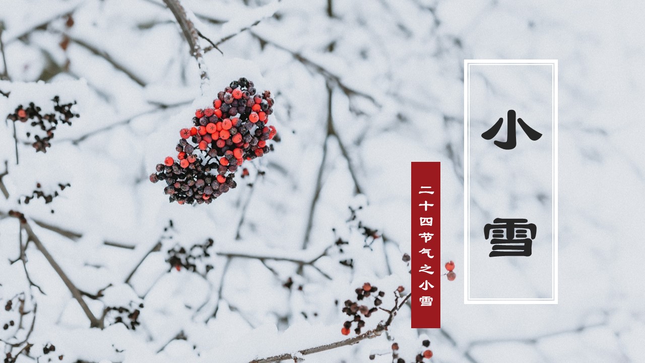 ppt模板-24节气之小寒节气介绍PPT