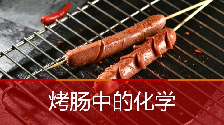 ppt模板-烤肠中的化学课件