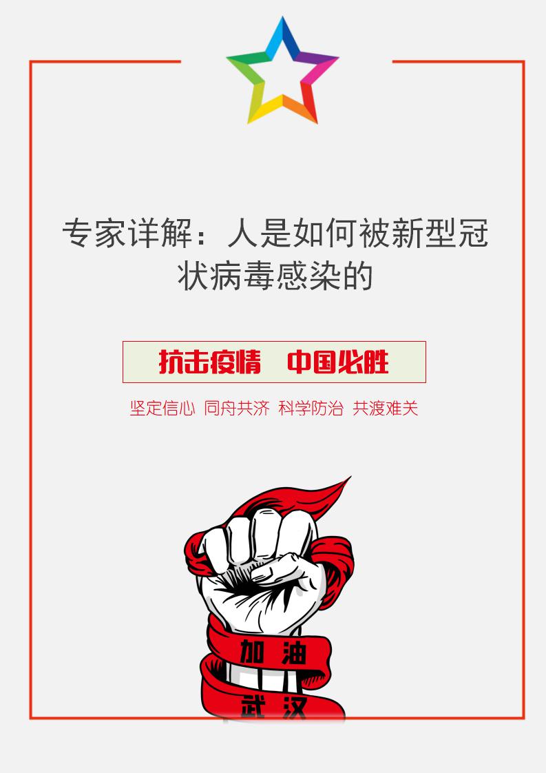 word模板-人是如何被新型冠状病毒感染的