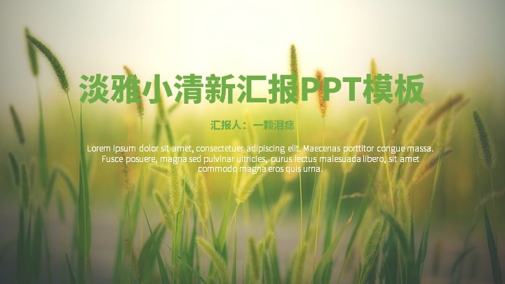 ppt模板-小清新简约汇报PPT模板