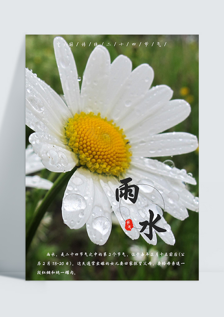 word模板-清新唯美雨水海报