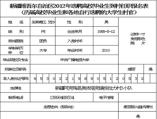 excel模板-历届高校毕业生到村任职登记表