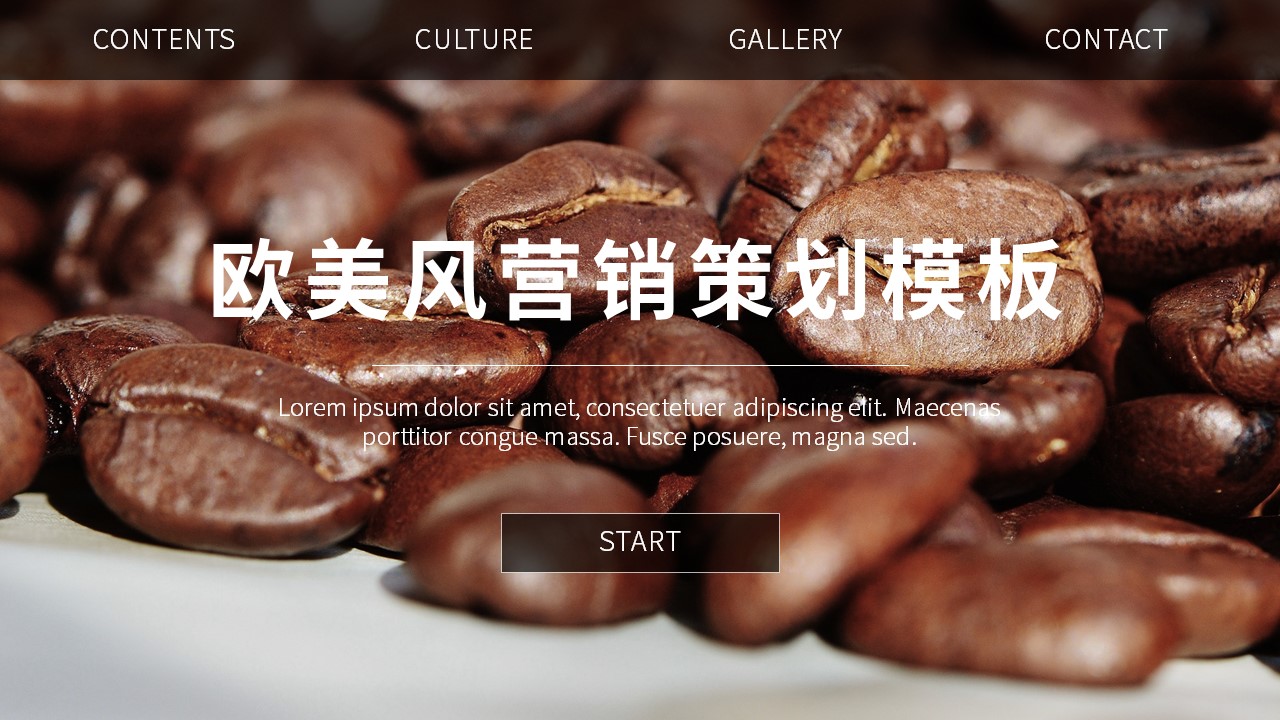 ppt模板-欧美风营销策划模板