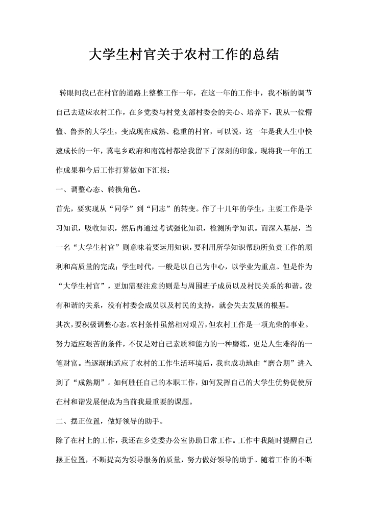 word模板-大学生村官关于农村工作的总结