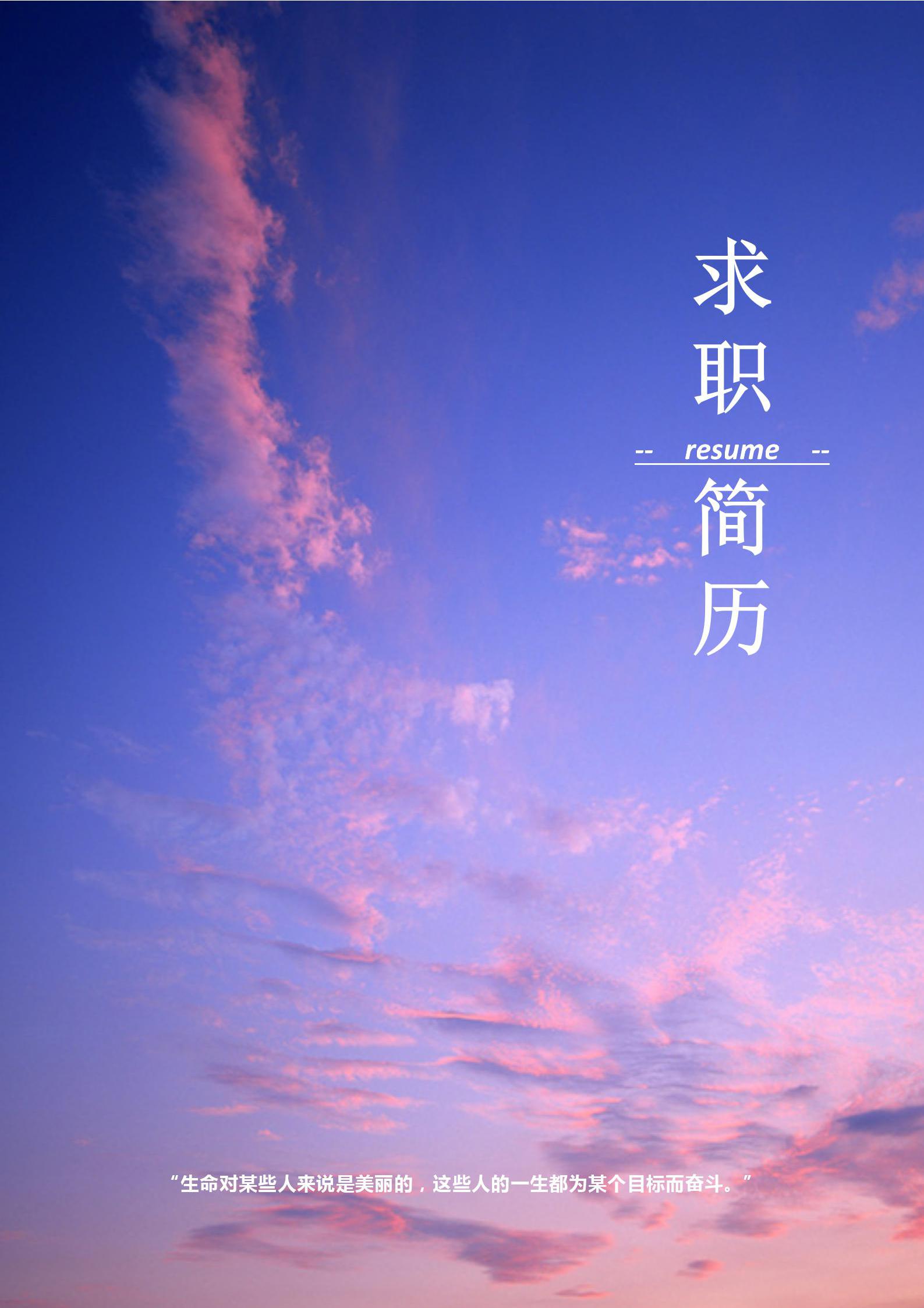 word模板-品牌策划2年经验免费简历套装